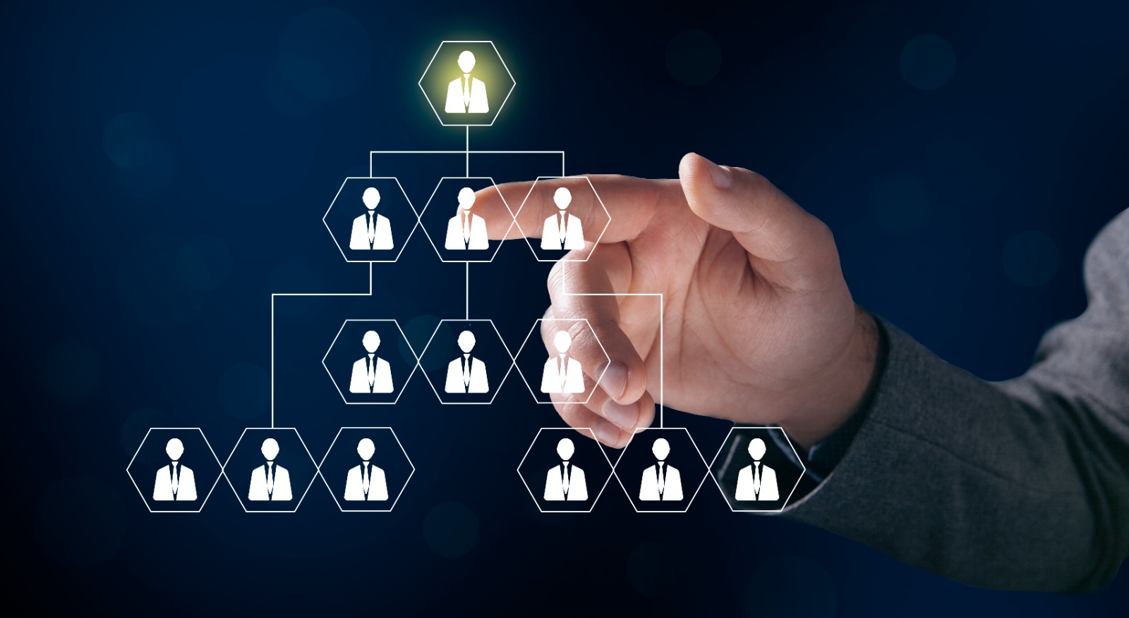 Administrative Organizational Development