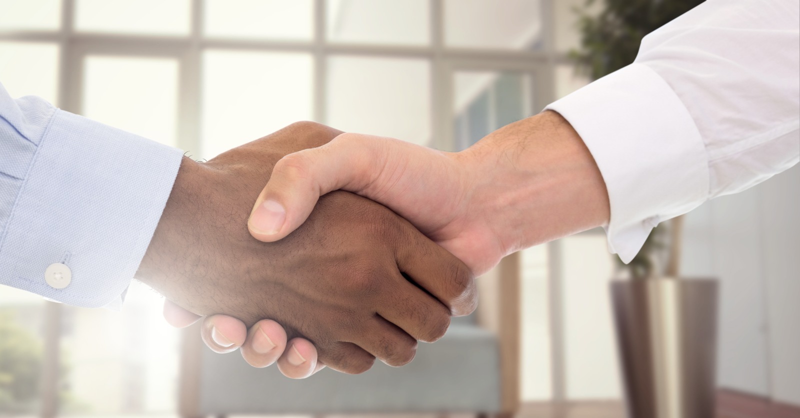Building Strategic Partnerships
