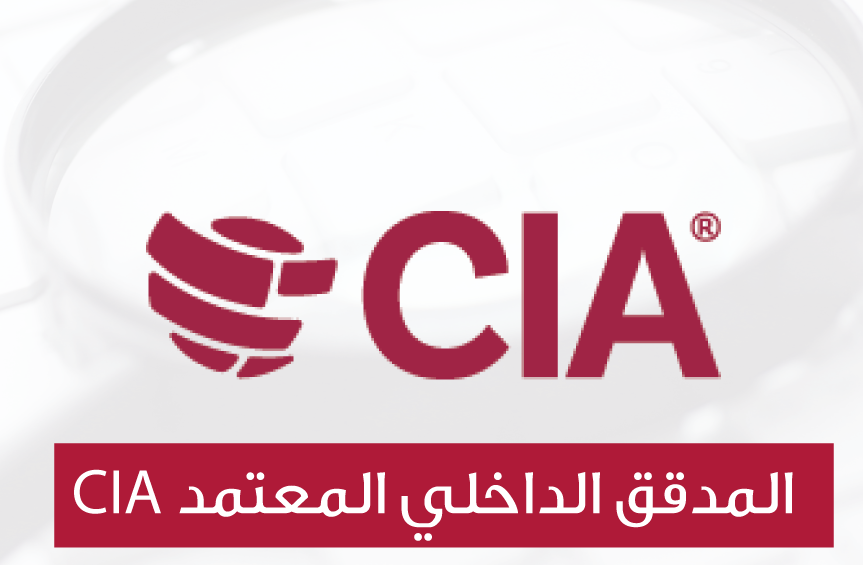 Professional skills of the internal auditor